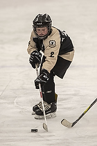 Klik for at se eller bestil foto