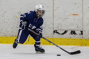 Klik for at se eller bestil foto