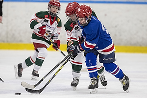 Klik for at se eller bestil foto