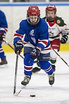 Klik for at se eller bestil foto