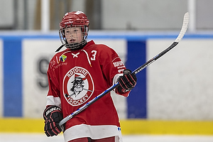 Klik for at se eller bestil foto