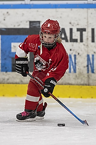 Klik for at se eller bestil foto