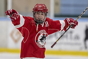 Klik for at se eller bestil foto