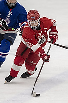 Klik for at se eller bestil foto