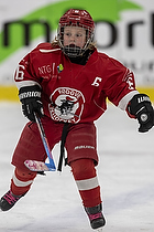 Klik for at se eller bestil foto