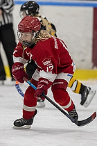 Klik for at se eller bestil foto