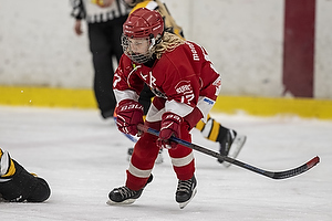 Klik for at se eller bestil foto