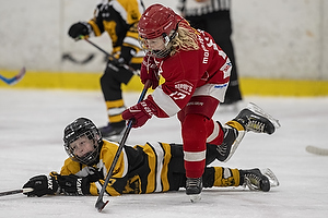 Klik for at se eller bestil foto