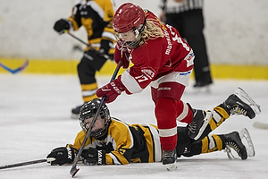 Klik for at se eller bestil foto