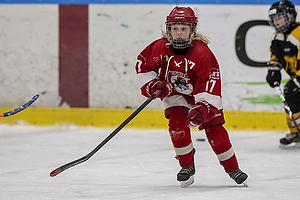 Klik for at se eller bestil foto