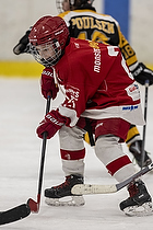 Klik for at se eller bestil foto