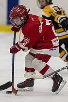 Klik for at se eller bestil foto