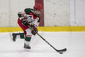 Klik for at se eller bestil foto