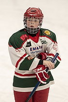 Klik for at se eller bestil foto