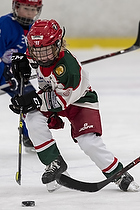 Klik for at se eller bestil foto