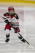 Klik for at se eller bestil foto