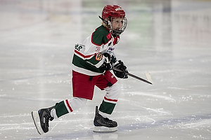 Klik for at se eller bestil foto