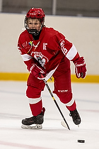 Klik for at se eller bestil foto