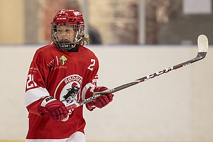 Klik for at se eller bestil foto