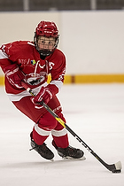 Klik for at se eller bestil foto