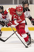 Klik for at se eller bestil foto