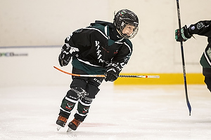 Klik for at se eller bestil foto