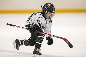 Klik for at se eller bestil foto