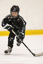 Klik for at se eller bestil foto