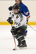 Klik for at se eller bestil foto