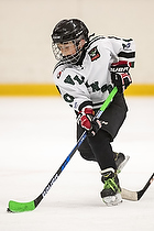 Klik for at se eller bestil foto