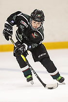 Klik for at se eller bestil foto