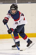 Klik for at se eller bestil foto