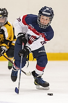 Klik for at se eller bestil foto