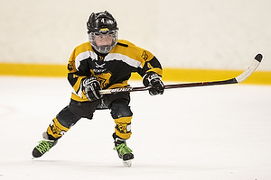 Klik for at se eller bestil foto