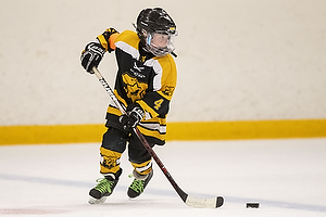 Klik for at se eller bestil foto