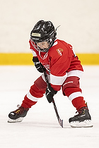 Klik for at se eller bestil foto