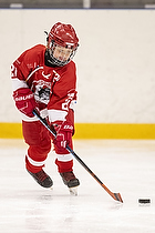 Klik for at se eller bestil foto