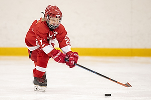 Klik for at se eller bestil foto