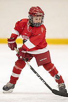 Klik for at se eller bestil foto