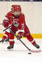 Klik for at se eller bestil foto