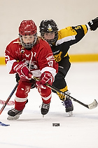 Klik for at se eller bestil foto