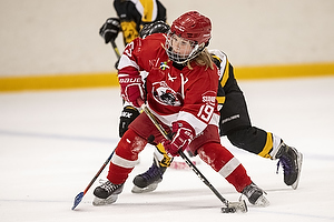 Klik for at se eller bestil foto