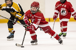 Klik for at se eller bestil foto