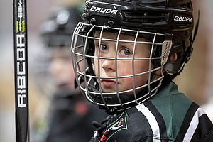 Klik for at se eller bestil foto