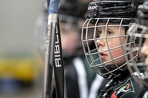 Klik for at se eller bestil foto