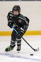 Klik for at se eller bestil foto