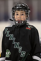 Klik for at se eller bestil foto