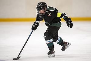 Klik for at se eller bestil foto