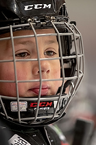 Klik for at se eller bestil foto