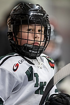 Klik for at se eller bestil foto